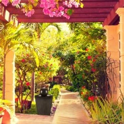 Königsbrunn Springbrunnen Solar 200 L/h LED Akku Basaltoptik 9 Königsbrunn Springbrunnen Solar 200 L/h LED Akku Basaltoptik -Gartenmöbel 10029040 yy 0004 ambient Blumfeldt Koenigsbrunn Solar Springbrunnen reedit