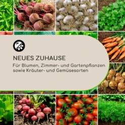 Winegrow Pflanzgefäß 52,5 X 31,5 Cm (ØxH) Leicht Fibreclay Grau -Gartenmöbel 10034811 de 0003 logo