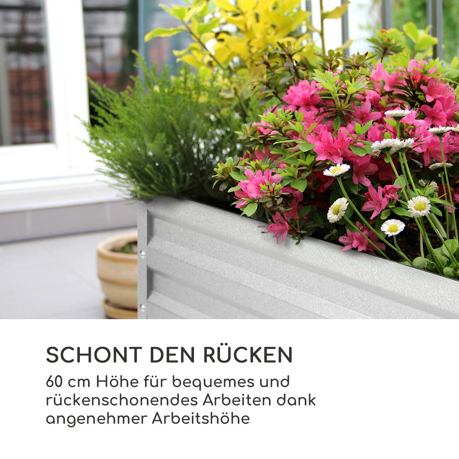 High Grow Straight Hochbeet 120x60x60cm 432l Stahl 3 High Grow Straight Hochbeet 120x60x60cm 432l Stahl – Bild 3