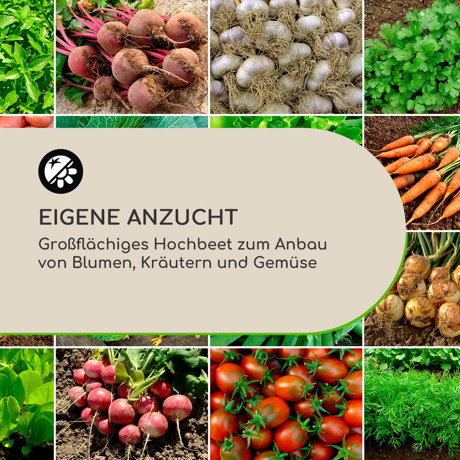 High Grow Straight Hochbeet 120x60x60cm 432l Stahl 4 High Grow Straight Hochbeet 120x60x60cm 432l Stahl – Bild 4