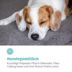 Finn Hundebett Waschbar Rutschfest Atmungsaktiv PE / Vlies Größe L -Gartenmöbel 10037526 de 0003 logo