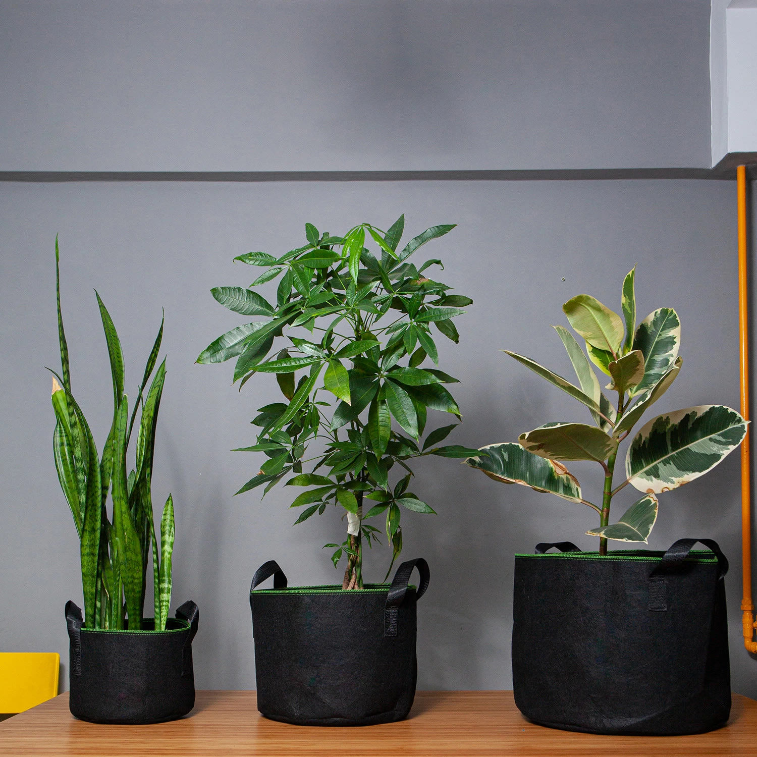 Pflanzsack Set 5 Stück 5 Liter Vlies Mit Henkeln 2 Pflanzsack Set 5 Stück 5 Liter Vlies Mit Henkeln – Bild 2