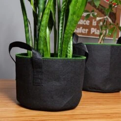 Pflanzsack Set 5 Stück 5 Liter Vlies Mit Henkeln 8 Pflanzsack Set 5 Stück 5 Liter Vlies Mit Henkeln -Gartenmöbel 10038012 yy 0004 logo