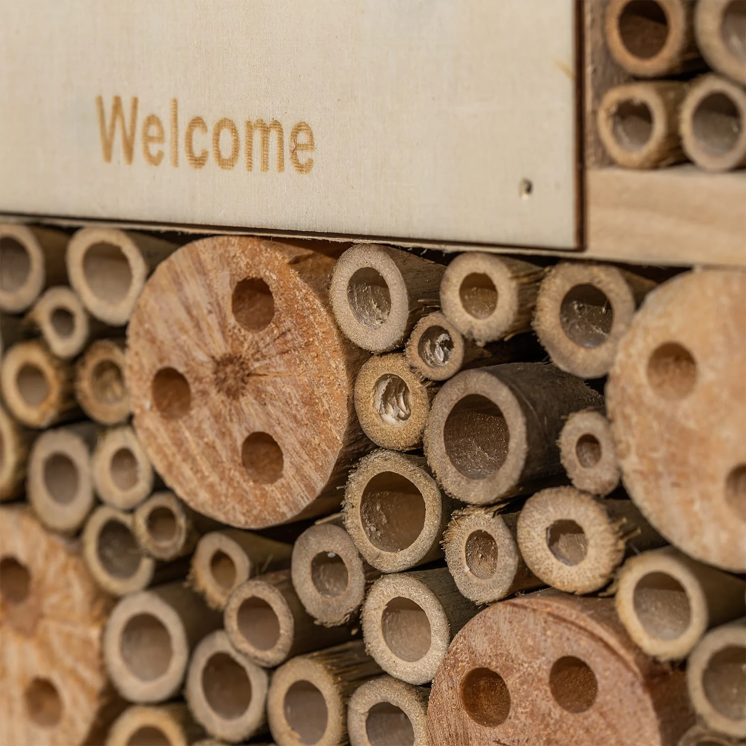 Insektenhotel Mit Flachdach Aufhängung Ganzjährig Bewohnbar Holz 4 Insektenhotel Mit Flachdach Aufhängung Ganzjährig Bewohnbar Holz – Bild 4
